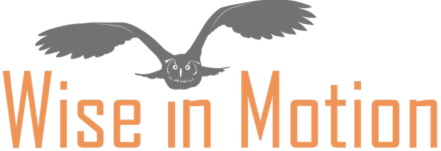 Wise in Motion Logo